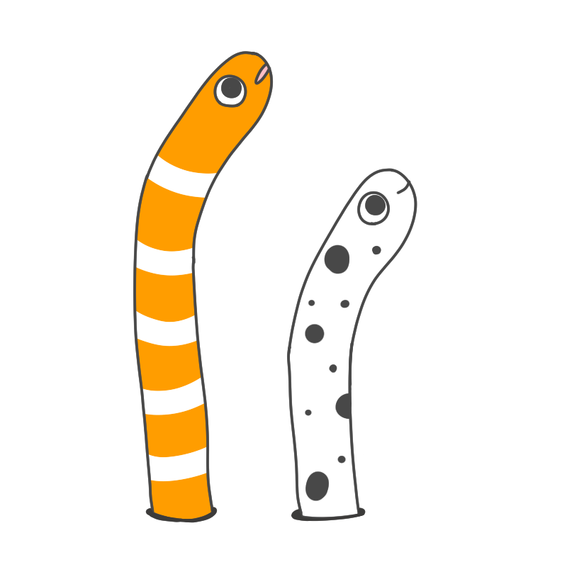 チンアナゴのイラスト