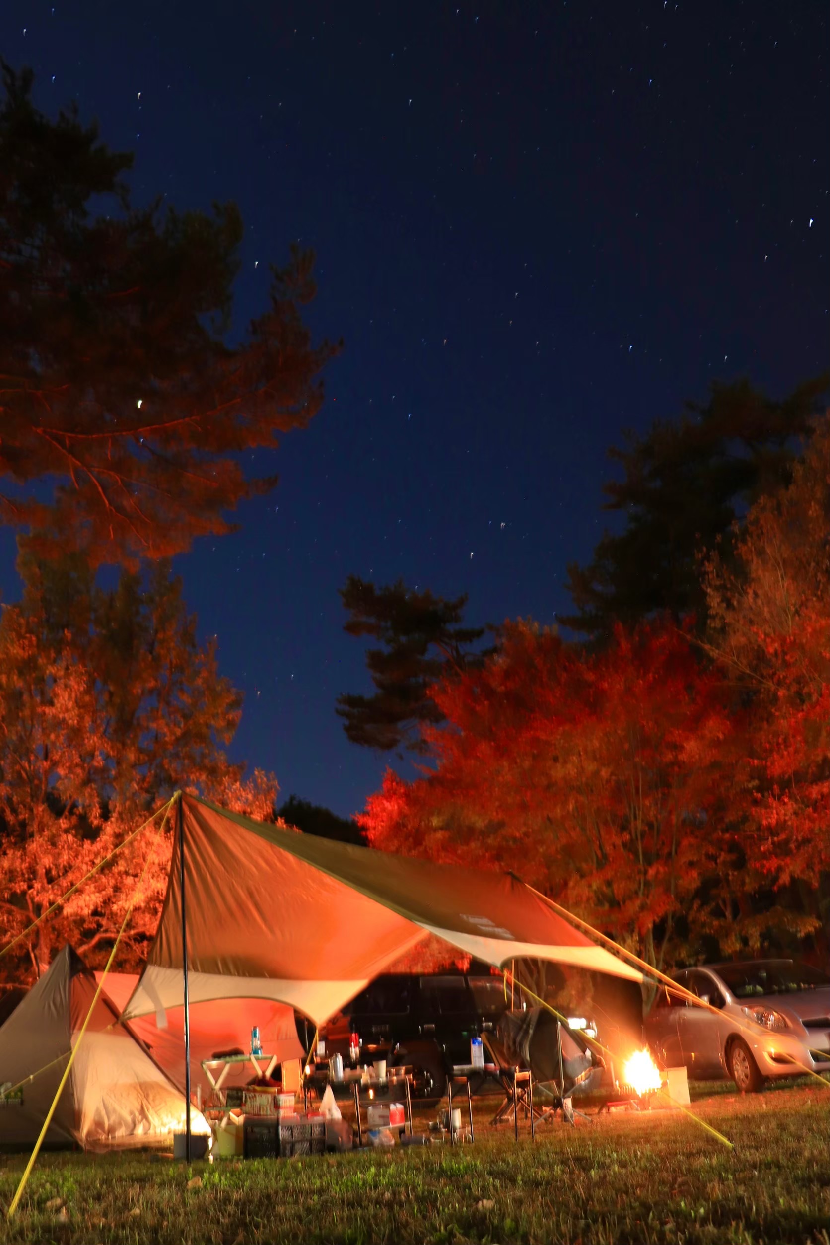 キャンプ場の写真