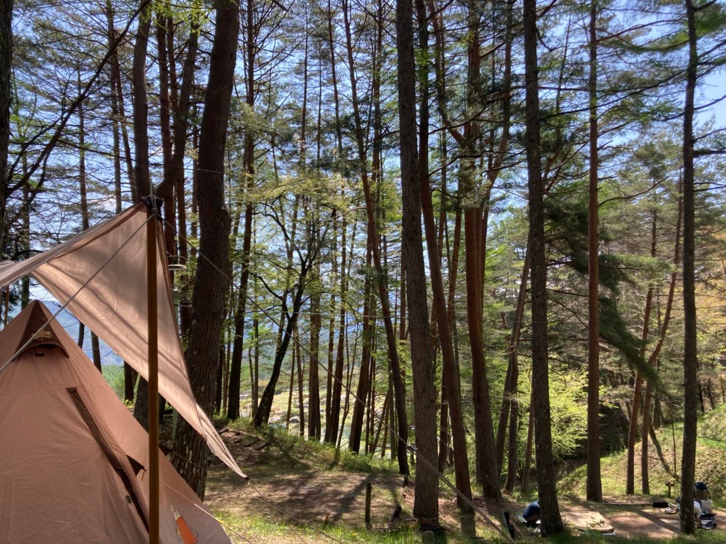 キャンプ場の写真