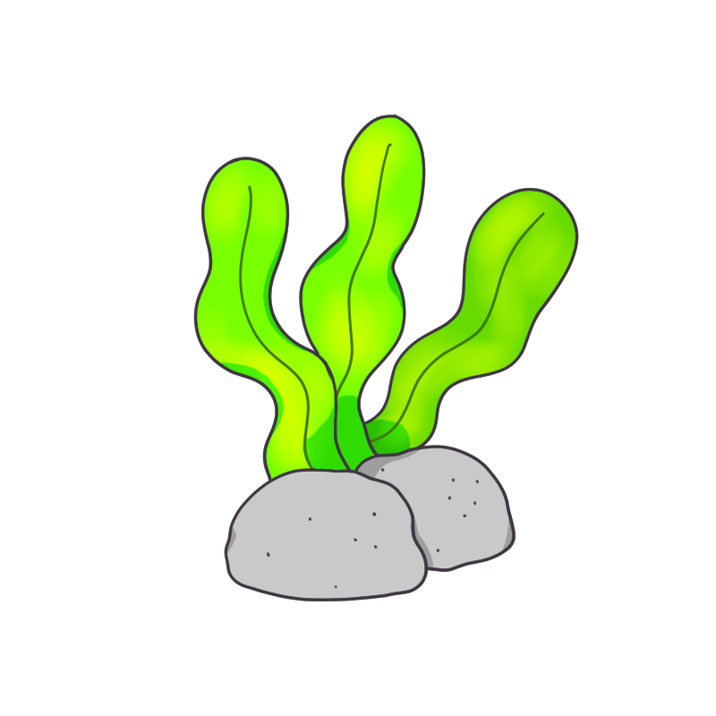 昆布のイラスト